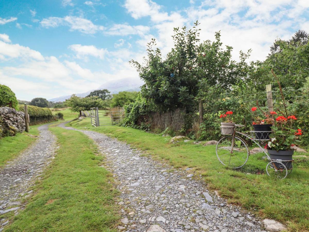 Cwm Caeth Cottage Caernarfon Exterior photo